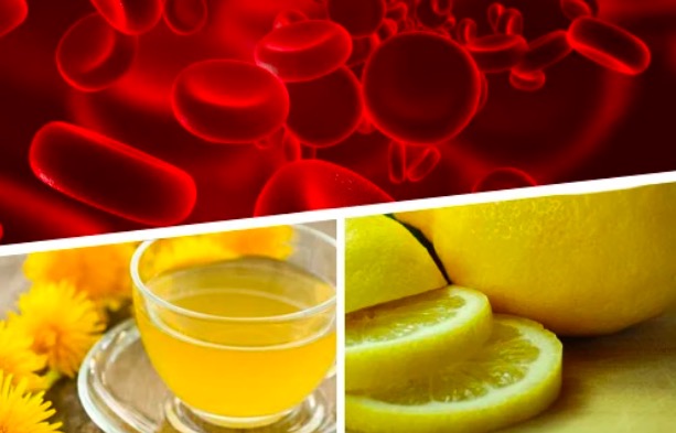 ALIMENTOS PURIFICADORES DE LA SANGRE