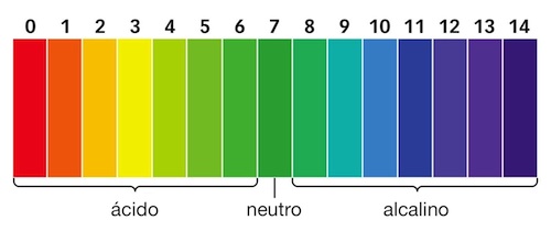 DIETAS DE TRANSICIÓN